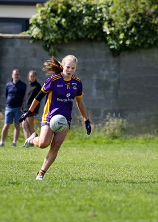 Division 1 Ladies Football Feile Finals Silverpark Saturday July 2nd
