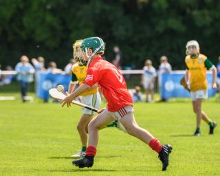  Beacon Hospital Hurling 7s - U12 Final