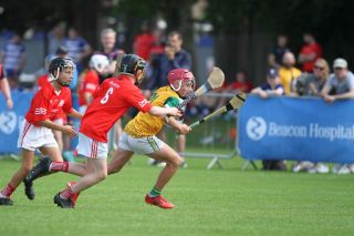  Beacon Hospital Hurling 7s - U12 Final
