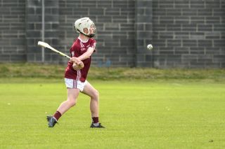 Lisdowney win Cup final in Beacon Hospital Hurling 7s