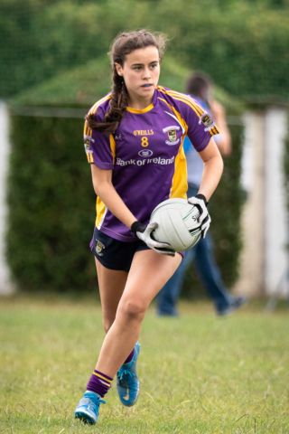 Kilmacud Crokes  Beacon Hospital Ladies Football 7's  Saturday July 23rd