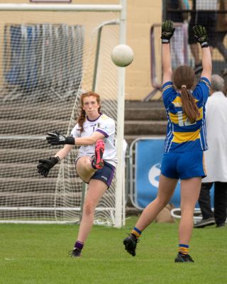 Kilmacud Crokes  Beacon Hospital Ladies Football 7's  Saturday July 23rd
