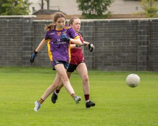Kilmacud Crokes  Beacon Hospital Ladies Football 7's  Saturday July 23rd