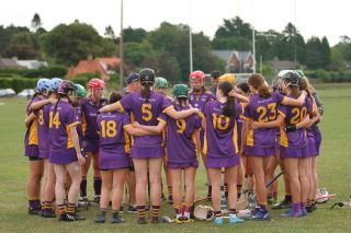 Camogie Go-Ahead Championship Senior 1 vs Castleknock