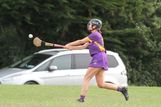 Camogie Go-Ahead Championship Senior 1 vs Castleknock