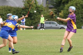 Camogie Go-Ahead Championship Senior 1 vs Castleknock