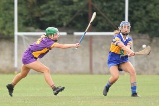 Camogie Go-Ahead Championship Senior 1 vs Castleknock