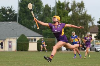 Camogie Go-Ahead Championship Senior 1 vs Castleknock
