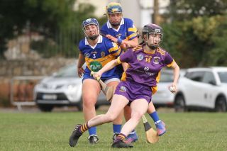 Camogie Go-Ahead Championship Senior 1 vs Castleknock