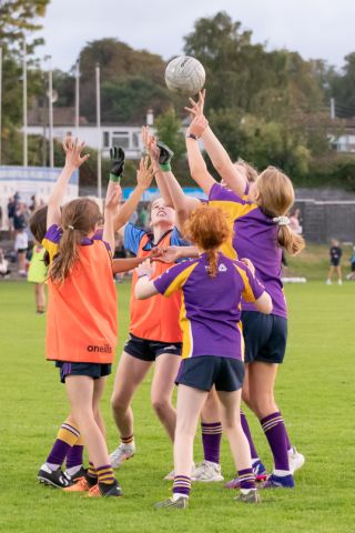 Ladies Football Go-Ahead Senior Championship Group A  Kilmacud Crokes Versus Thomas Davis 