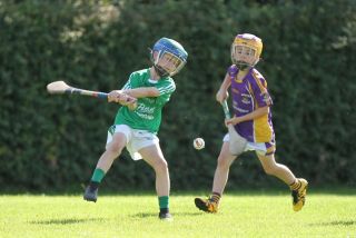 U9 Boys Festival of Hurling 2022