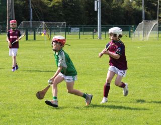 More photos from the U9 Festival of Hurling