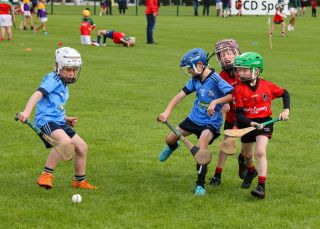 Kilmacud Crokes Festival of Hurling