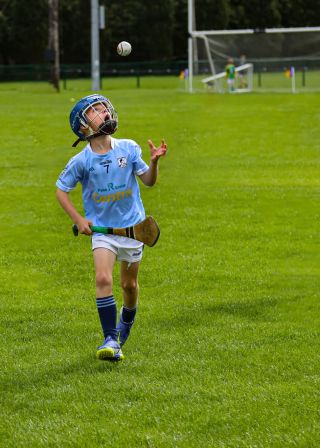 Kilmacud Crokes Festival of Hurling