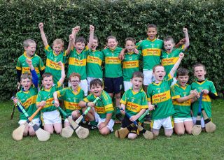Kilmacud Crokes Festival of Hurling