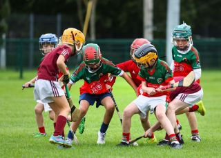 Kilmacud Crokes Festival of Hurling