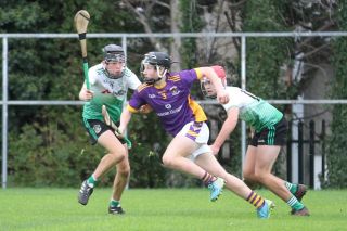 Under 17 A Hurling Championship vs Lucan Sarsfields