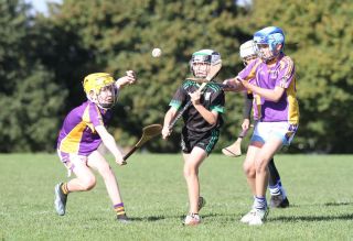 U11 Hurling Gp.1X vs Lucan Sarsfields