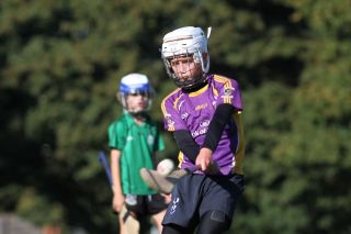 U11 Hurling Gp.1X vs Lucan Sarsfields