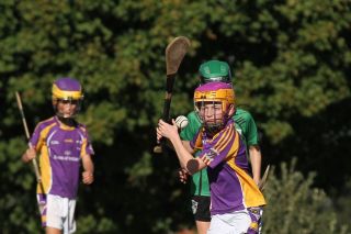 U11 Hurling Gp.1X vs Lucan Sarsfields