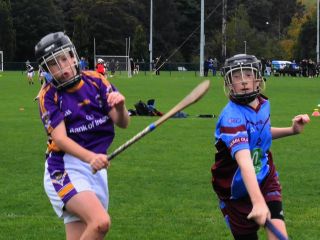U12 Festival of Hurling 