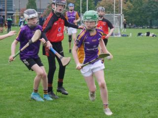 U12 Festival of Hurling 