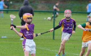 Festival of Hurling Photos (U12)