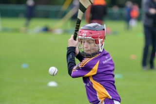 Festival of Hurling Photos (U12)