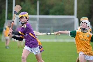 Festival of Hurling Photos (U12)