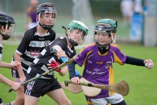 Festival of Hurling Photos (U12)