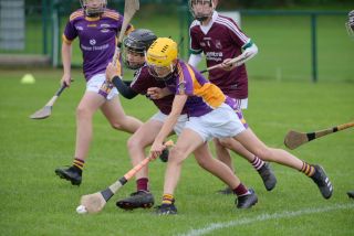Festival of Hurling Photos (U12)