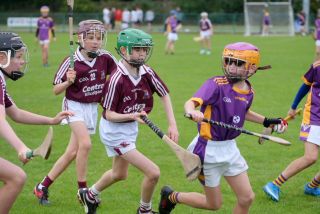 Festival of Hurling Photos (U12)