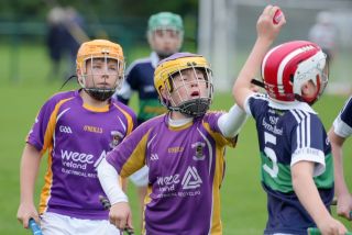 Festival of Hurling Photos (U12)
