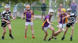Festival of Hurling Photos (U12)