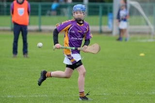 Festival of Hurling Photos (U12)
