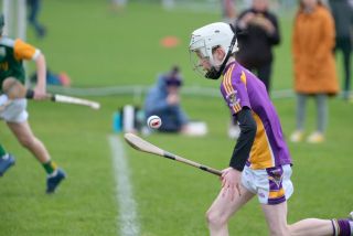 Festival of Hurling Photos (U12)