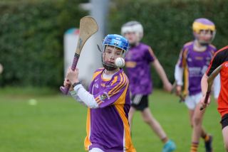 Festival of Hurling Photos (U12)