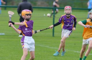 Festival of Hurling Photos (U12)