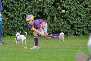 Festival of Hurling Photos (U12)