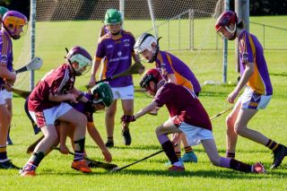 U12 Hurling League Div.11 vs Raheny