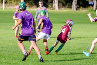 U12 Hurling League Div.11 vs Raheny