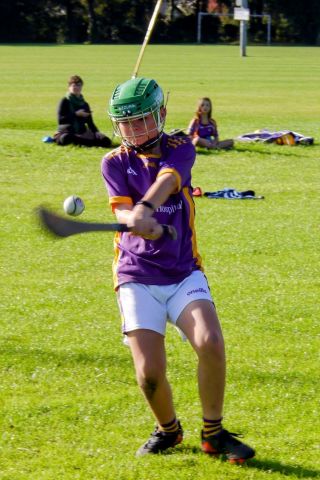 U12 Hurling League Div.11 vs Raheny