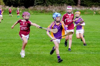 U12 Hurling League Div.11 vs Raheny