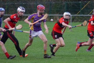 U12 Hurling League Div.11 vs. Trinity Gaels