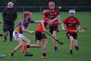 U12 Hurling League Div.11 vs. Trinity Gaels