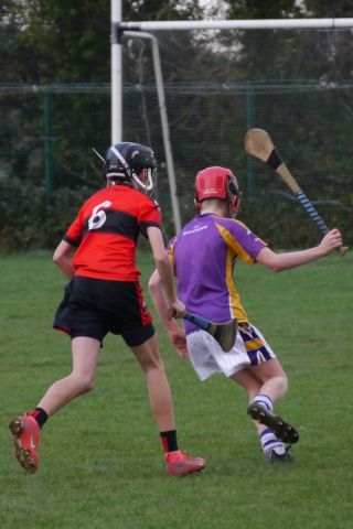 U12 Hurling League Div.11 vs. Trinity Gaels