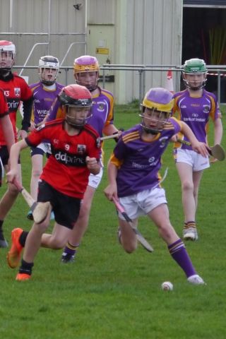 U12 Hurling League Div.11 vs. Trinity Gaels