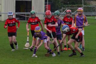 U12 Hurling League Div.11 vs. Trinity Gaels