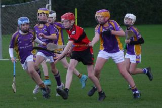 U12 Hurling League Div.11 vs. Trinity Gaels