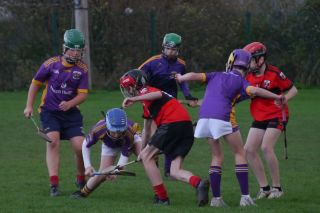 U12 Hurling League Div.11 vs. Trinity Gaels